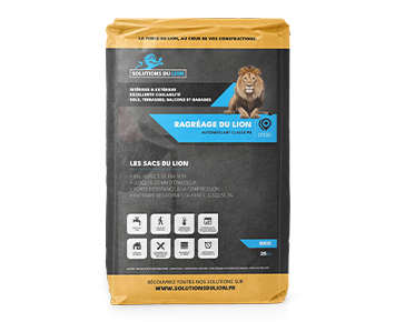Image du produit : RAGREAGE DU LION P3 image
